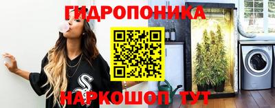 дживик Камышлов