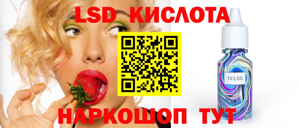 blacksprut как войти  Вход с VPN  Новокуйбышевск  LSD-25 экстази кислота 