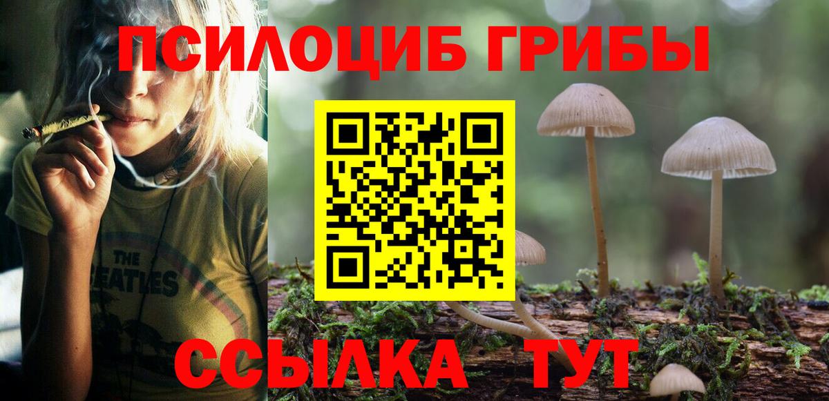 купить  цена  Вход с VPN  Новокуйбышевск  Галлюциногенные грибы ЛСД  Галлюциногенные грибы мухоморы 