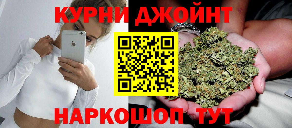 Каннабис сатива Новокуйбышевск