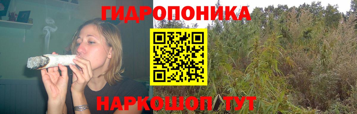 Бошки марихуана планчик  Каннабис тримм  Вход с VPN  Новокуйбышевск 